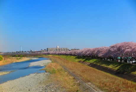 福生皮膚科クリニック